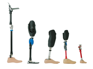 Hasdrubal Prosthetic Leg